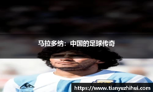 BSports网页版