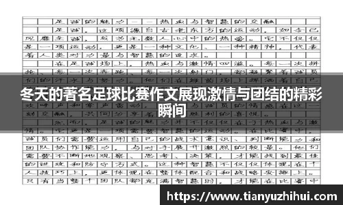 BSports网页版